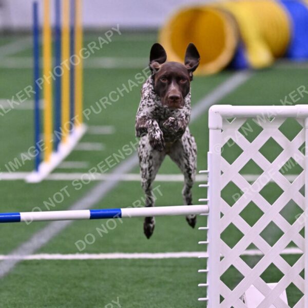 Riva-Denise-Ross-08469