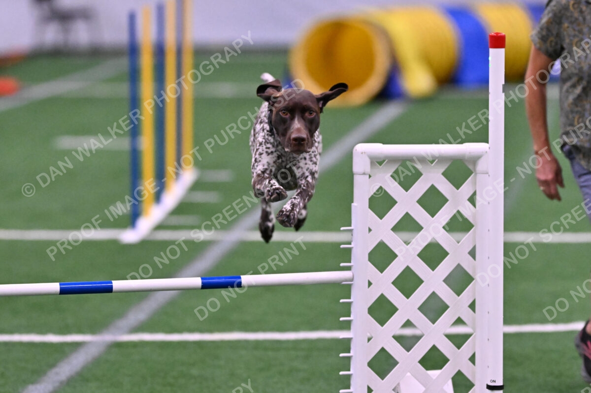 Riva-Denise-Ross-08471