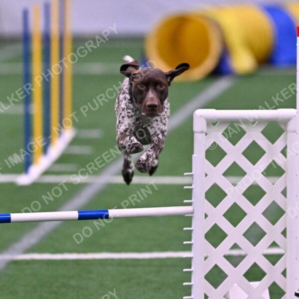 Riva-Denise-Ross-08471