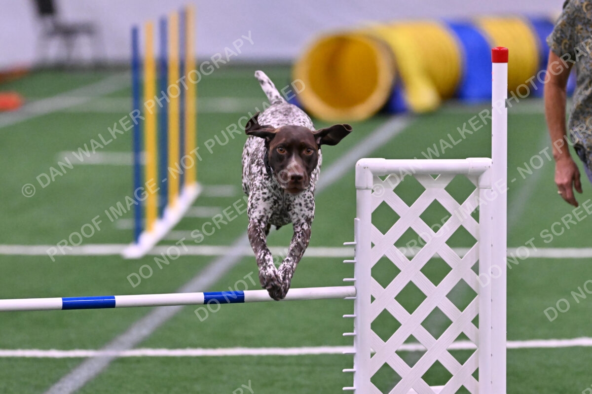 Riva-Denise-Ross-08472