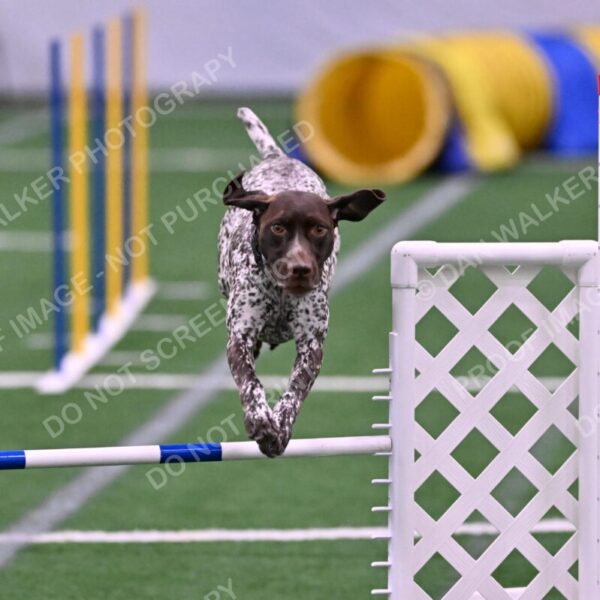 Riva-Denise-Ross-08472