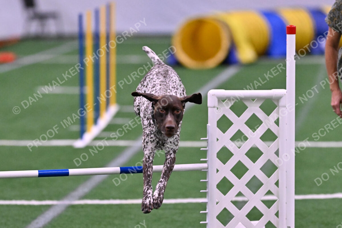 Riva-Denise-Ross-08473