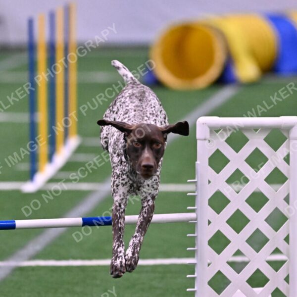 Riva-Denise-Ross-08473