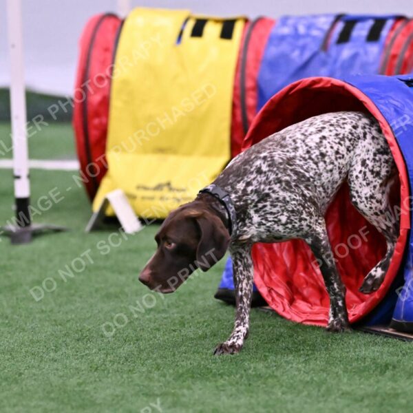 Riva-Denise-Ross-08478