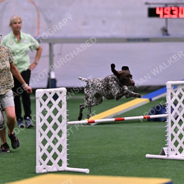 Riva-Denise-Ross-08479