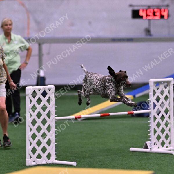 Riva-Denise-Ross-08480