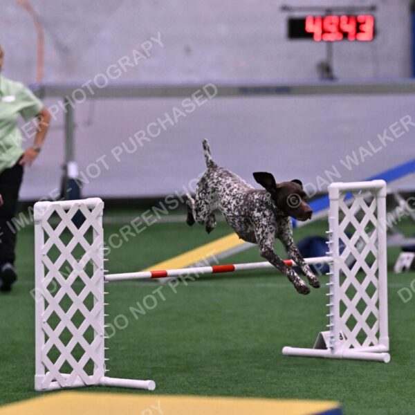 Riva-Denise-Ross-08481