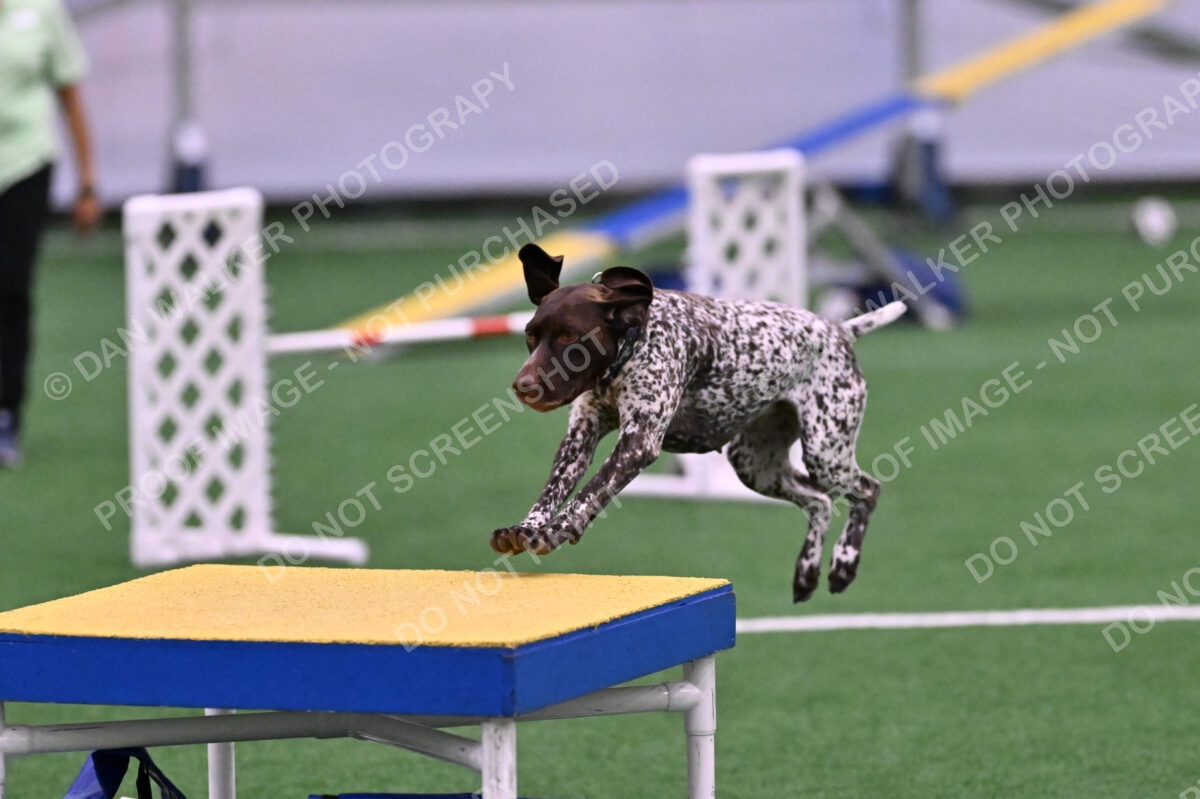 Riva-Denise-Ross-08482