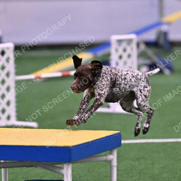 Riva-Denise-Ross-08482