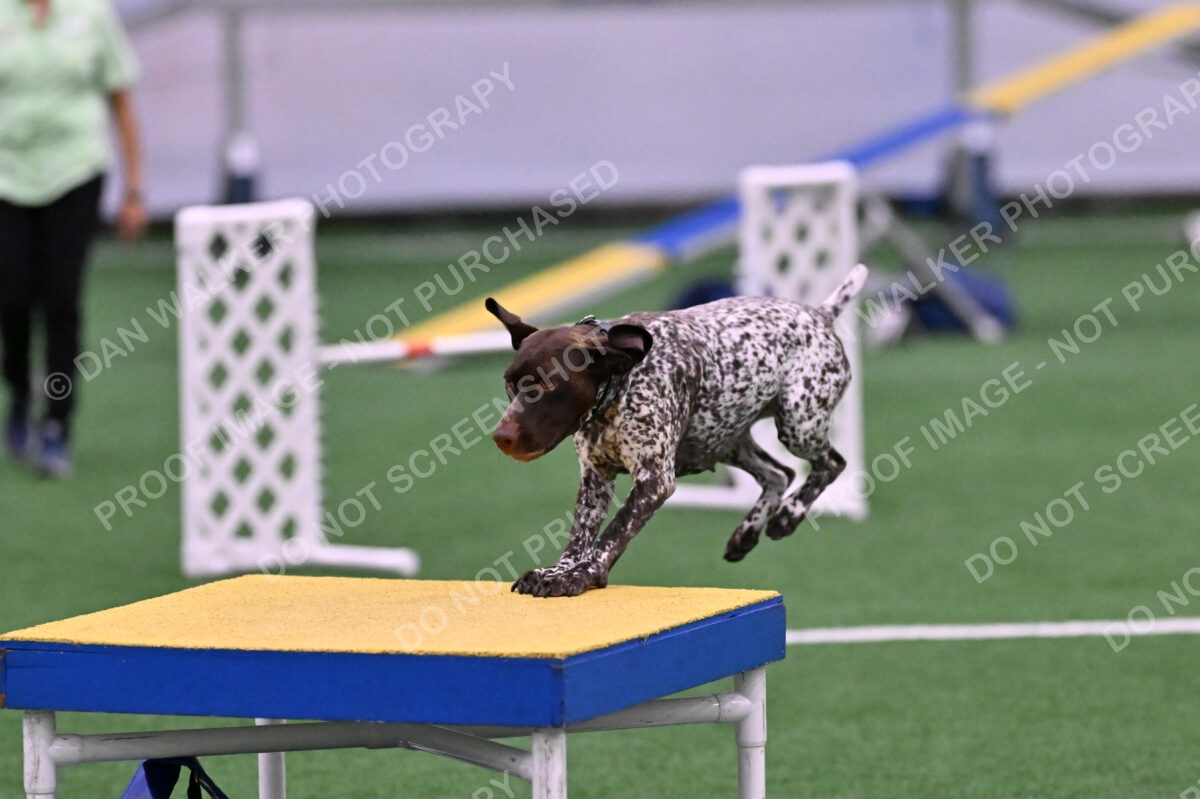 Riva-Denise-Ross-08483