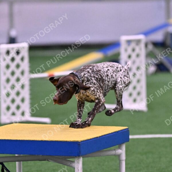 Riva-Denise-Ross-08484