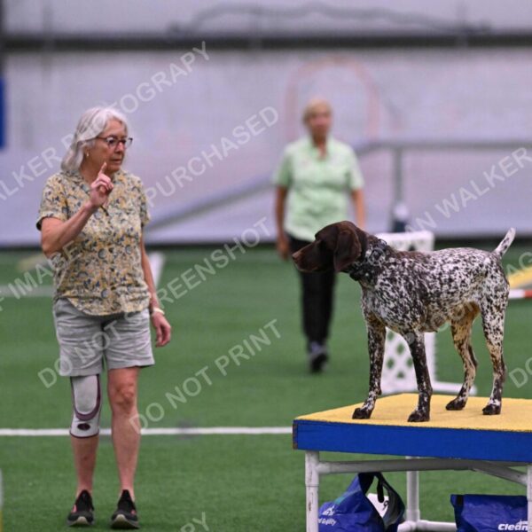 Riva-Denise-Ross-08485