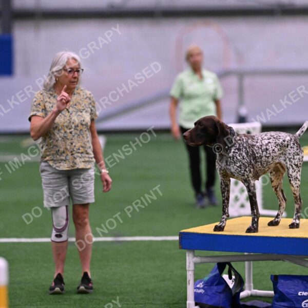 Riva-Denise-Ross-08487