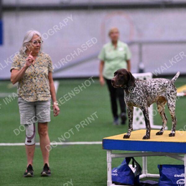 Riva-Denise-Ross-08490