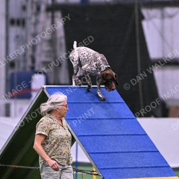 Riva-Denise-Ross-08496