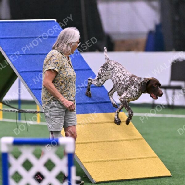 Riva-Denise-Ross-08502