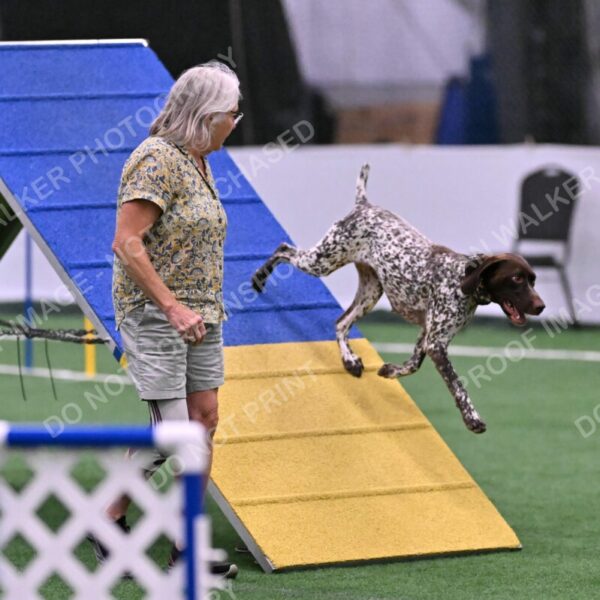 Riva-Denise-Ross-08503