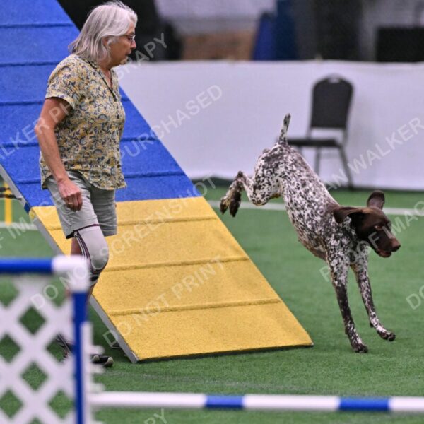 Riva-Denise-Ross-08504