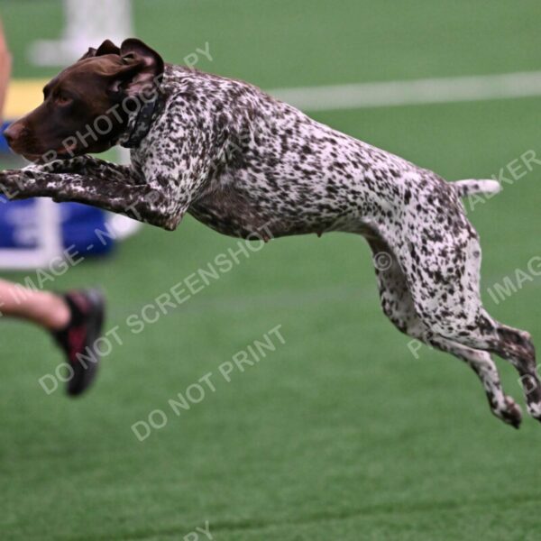 Riva-Denise-Ross-08508