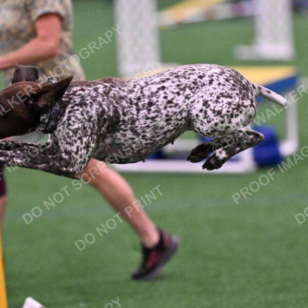 Riva-Denise-Ross-08511