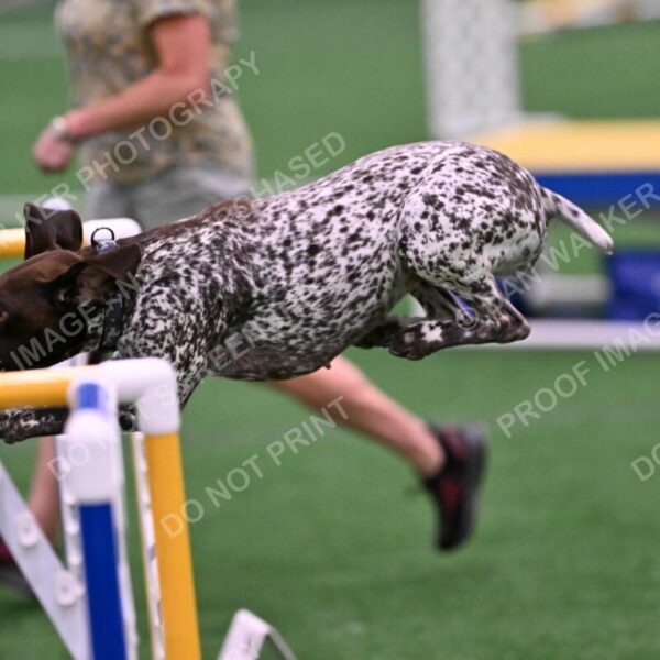 Riva-Denise-Ross-08512