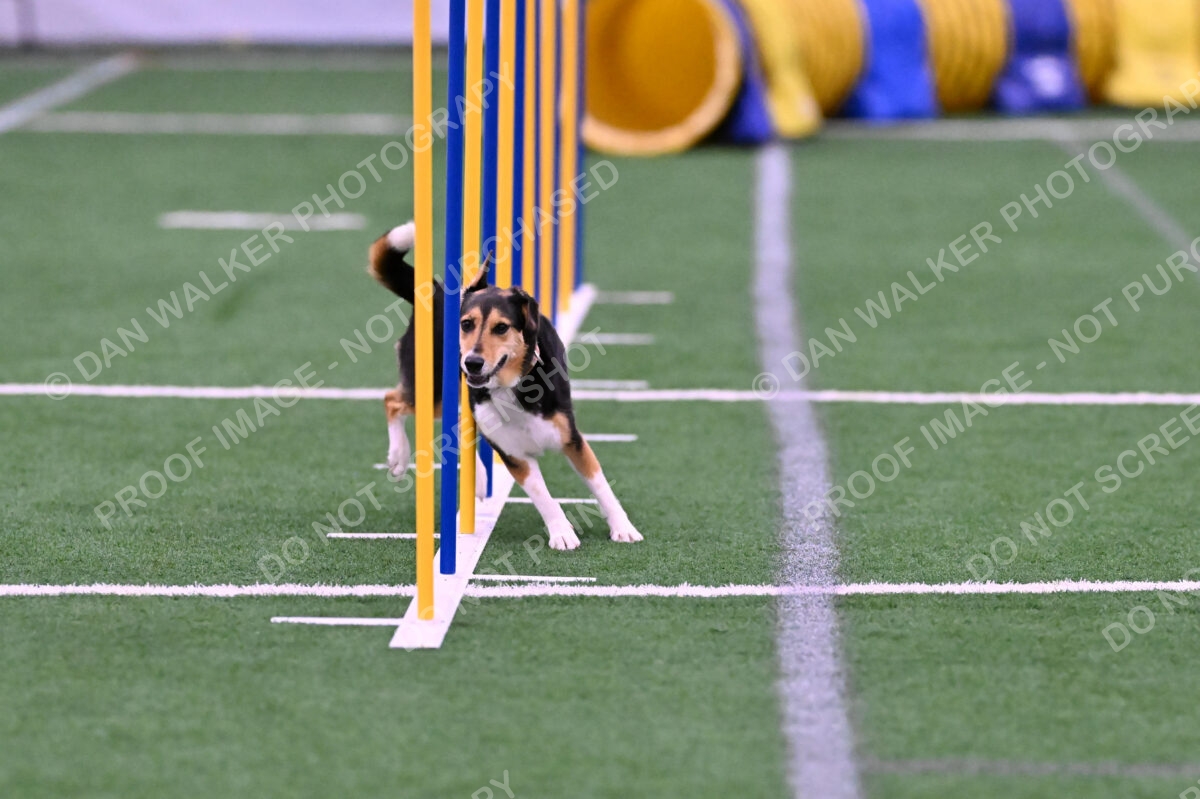 Rye-Elizabeth-Devore-10417