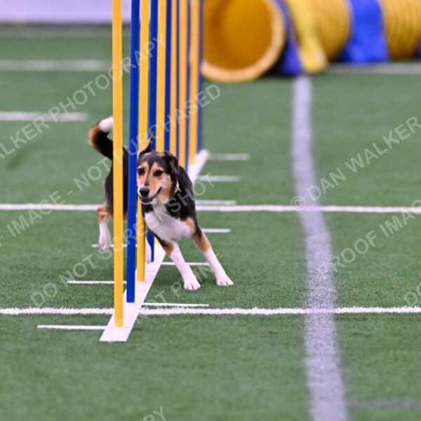 Rye-Elizabeth-Devore-10417