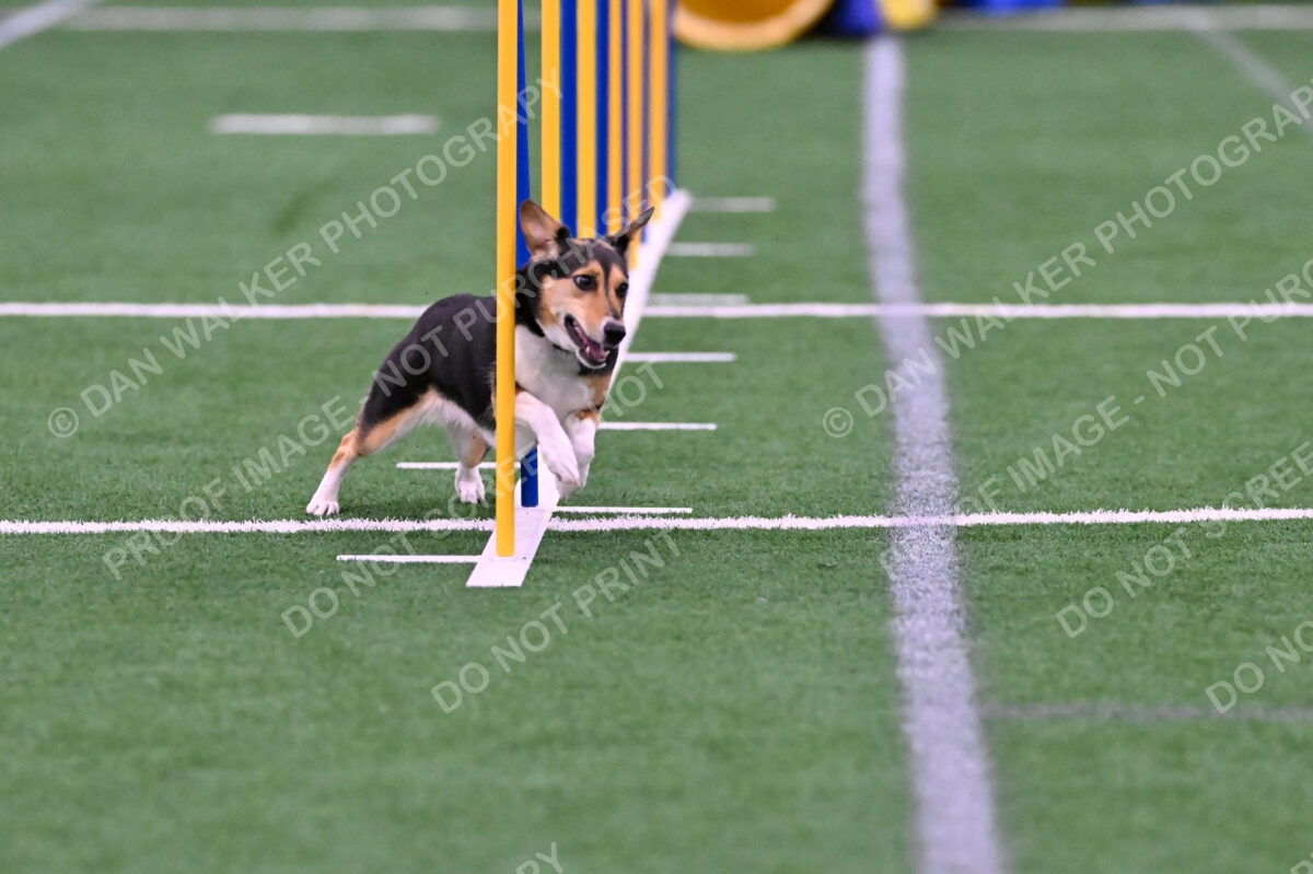 Rye-Elizabeth-Devore-10421