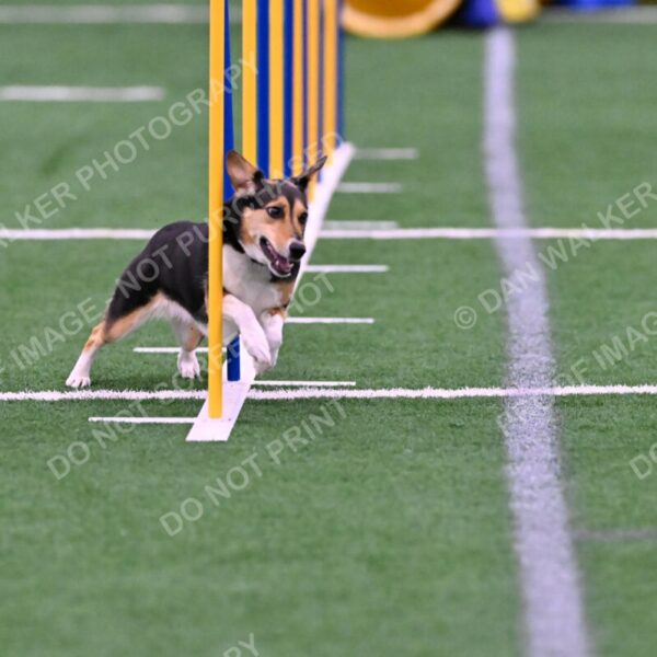 Rye-Elizabeth-Devore-10421