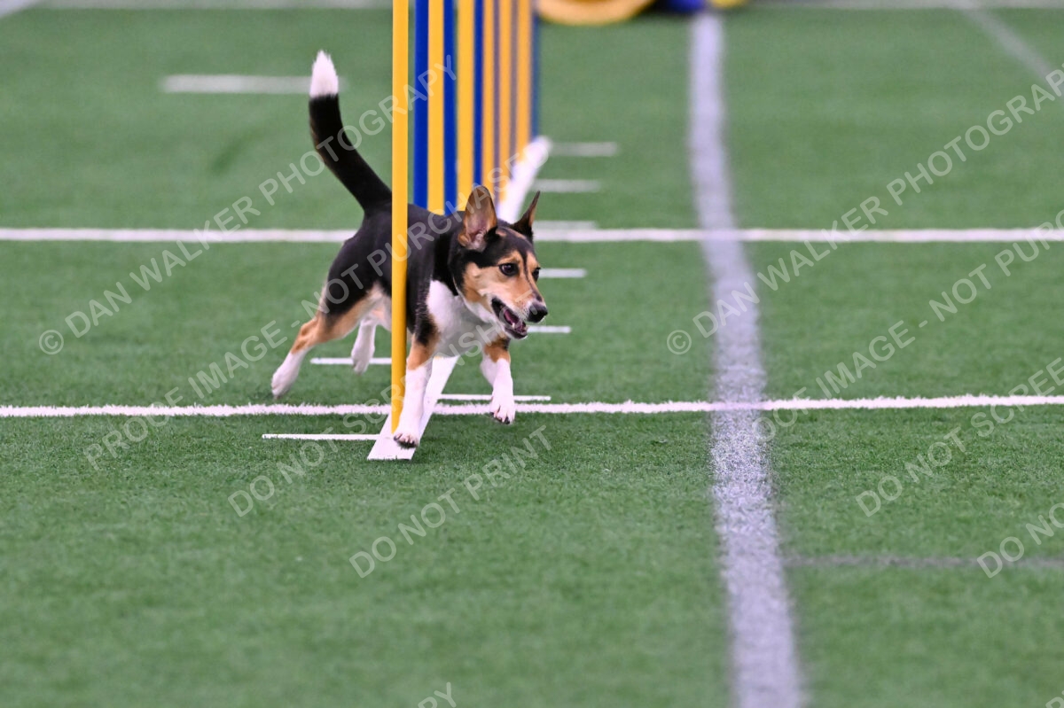 Rye-Elizabeth-Devore-10422