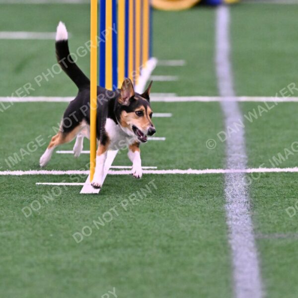 Rye-Elizabeth-Devore-10422