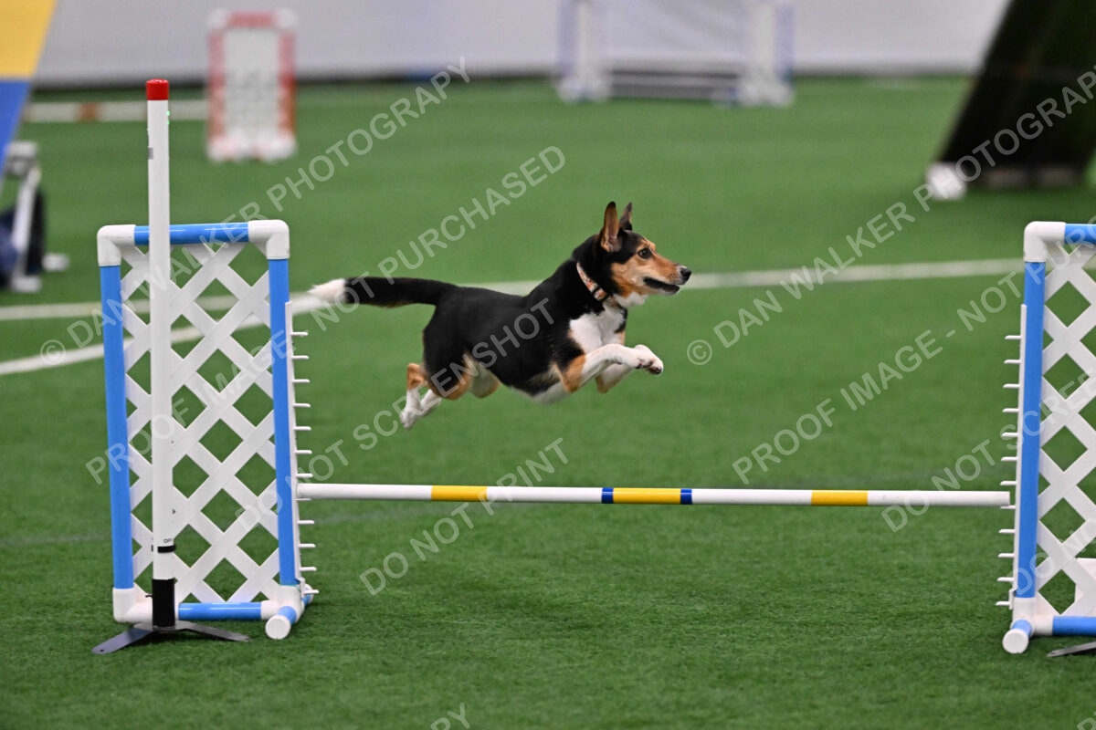 Rye-Elizabeth-Devore-10425