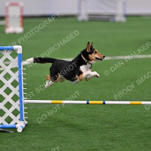 Rye-Elizabeth-Devore-10425