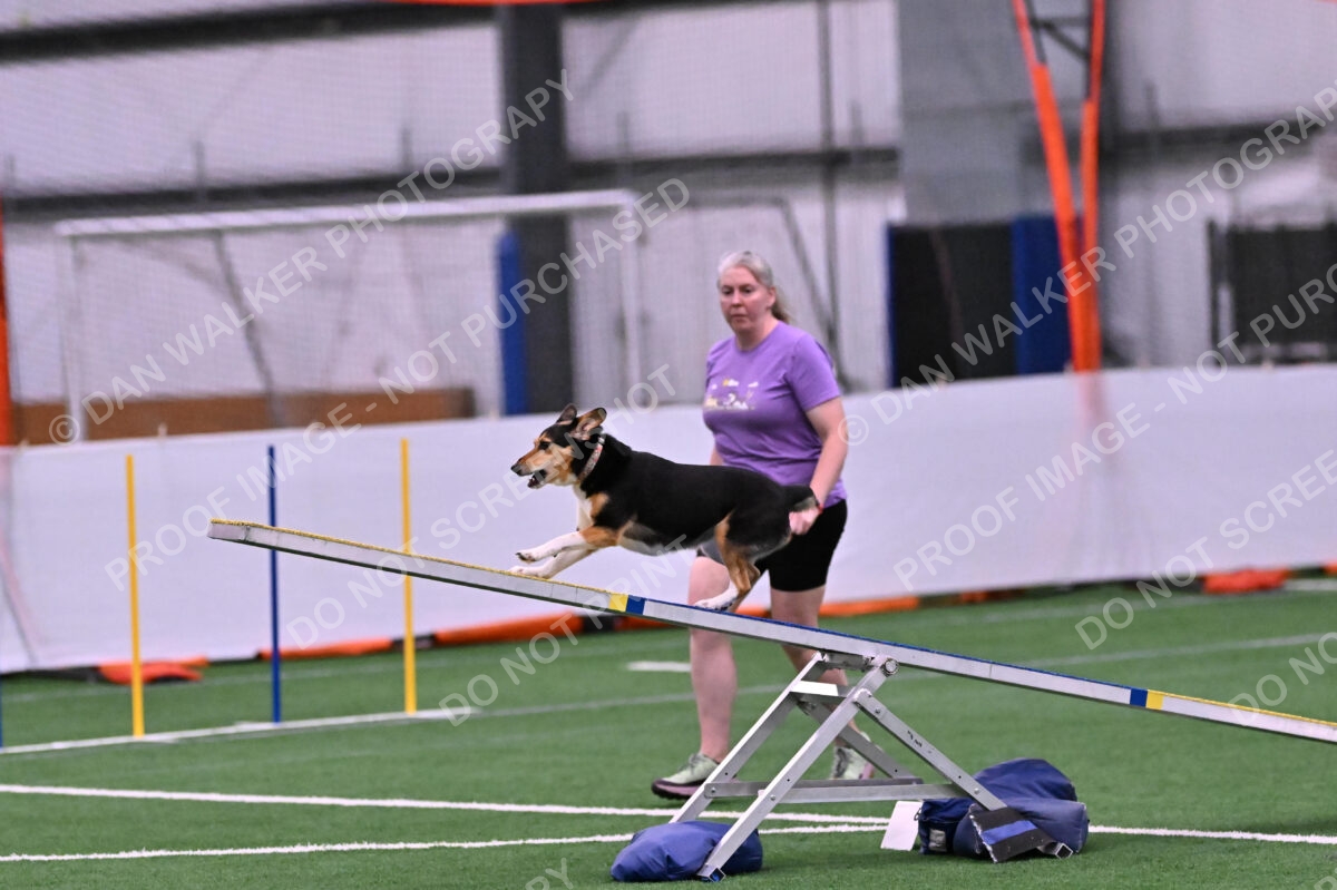 Rye-Elizabeth-Devore-10429