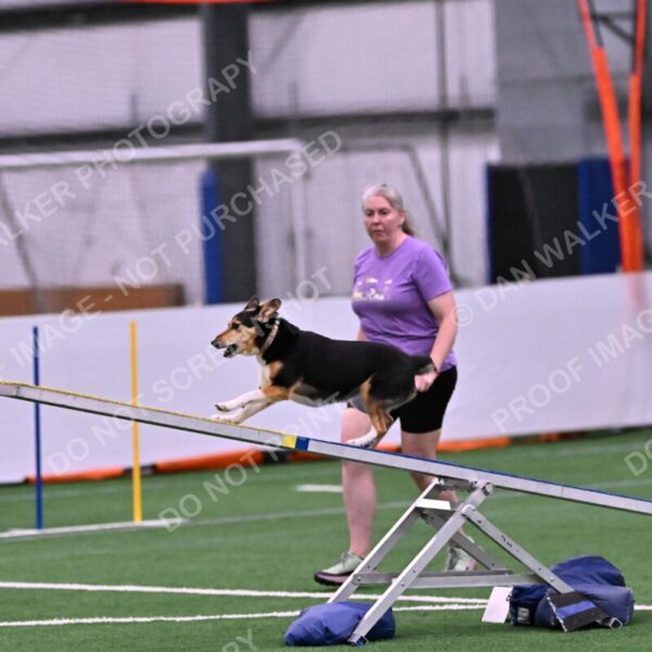 Rye-Elizabeth-Devore-10429