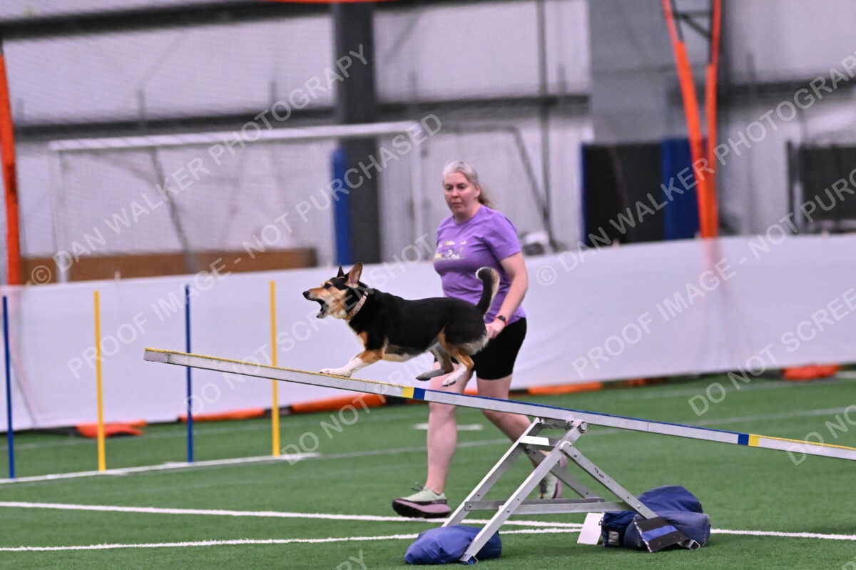 Rye-Elizabeth-Devore-10430