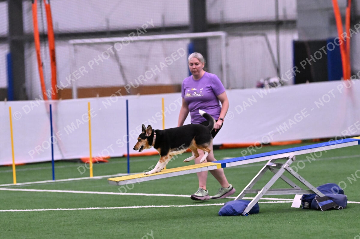 Rye-Elizabeth-Devore-10434