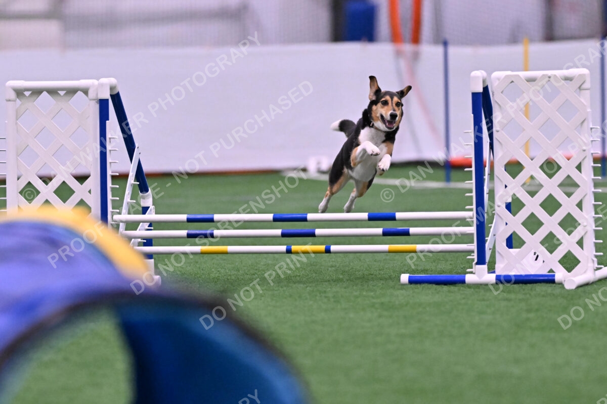 Rye-Elizabeth-Devore-10440