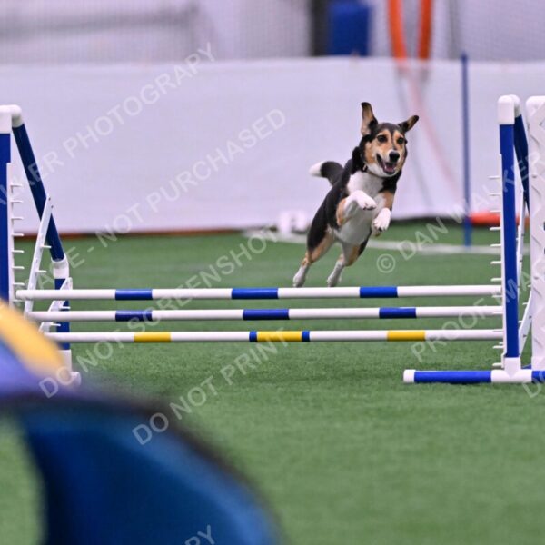 Rye-Elizabeth-Devore-10440