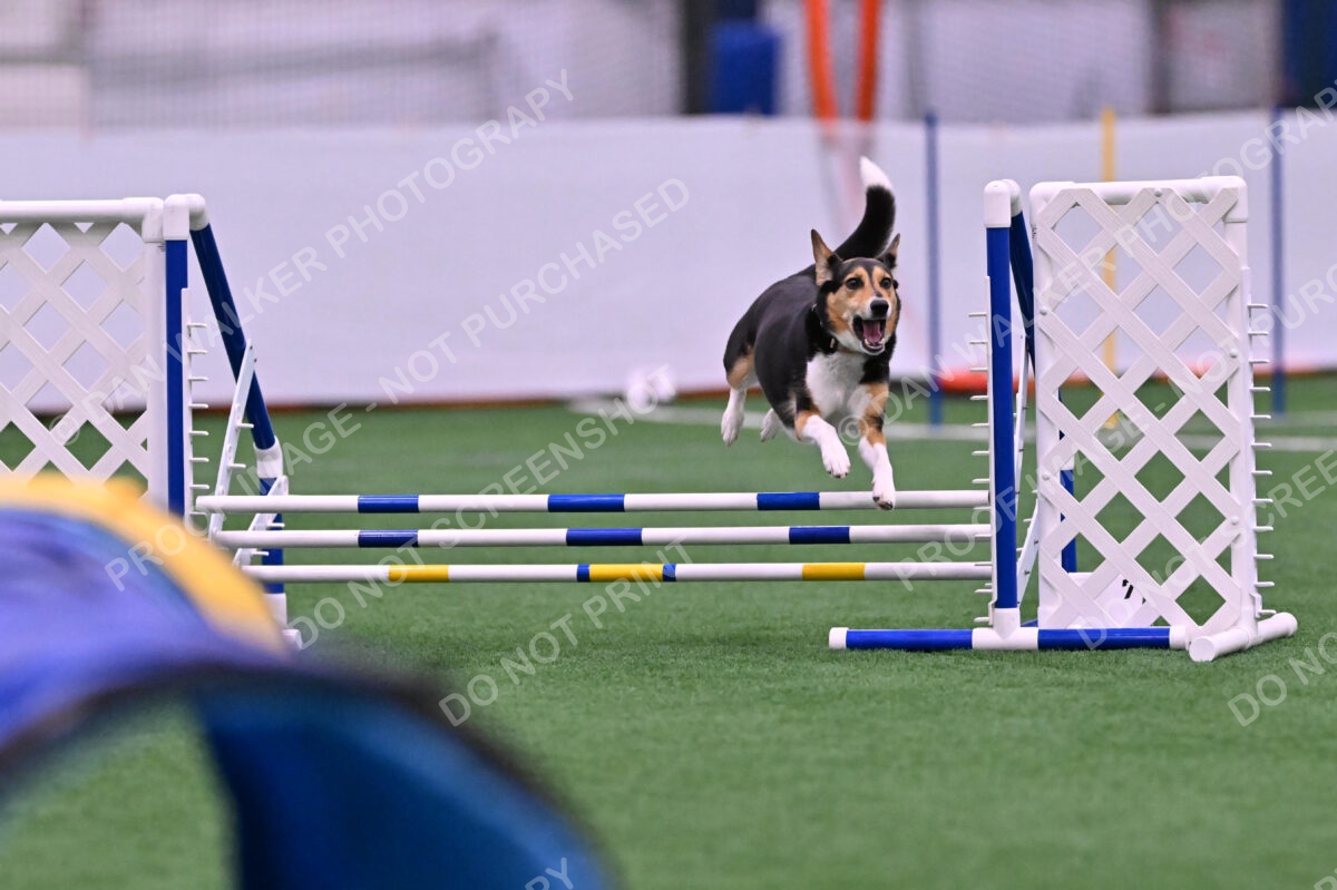 Rye-Elizabeth-Devore-10441