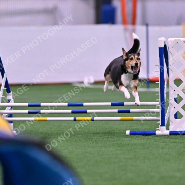 Rye-Elizabeth-Devore-10441