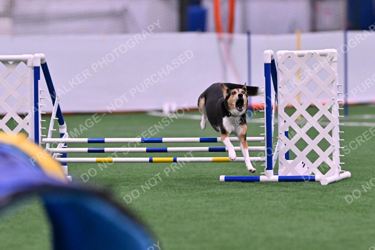 Rye-Elizabeth-Devore-10442