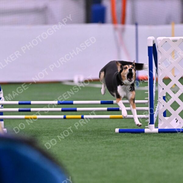 Rye-Elizabeth-Devore-10442