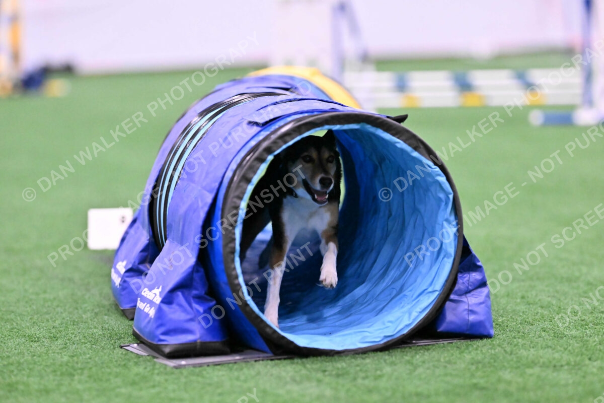 Rye-Elizabeth-Devore-10447