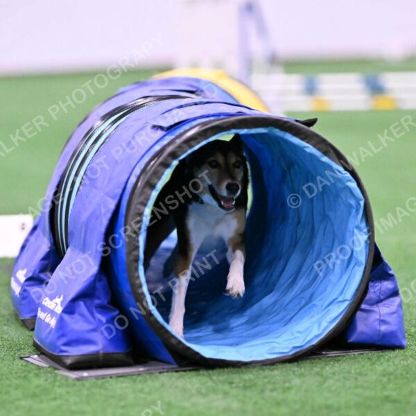 Rye-Elizabeth-Devore-10447