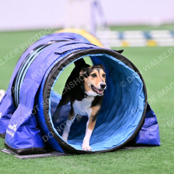 Rye-Elizabeth-Devore-10448