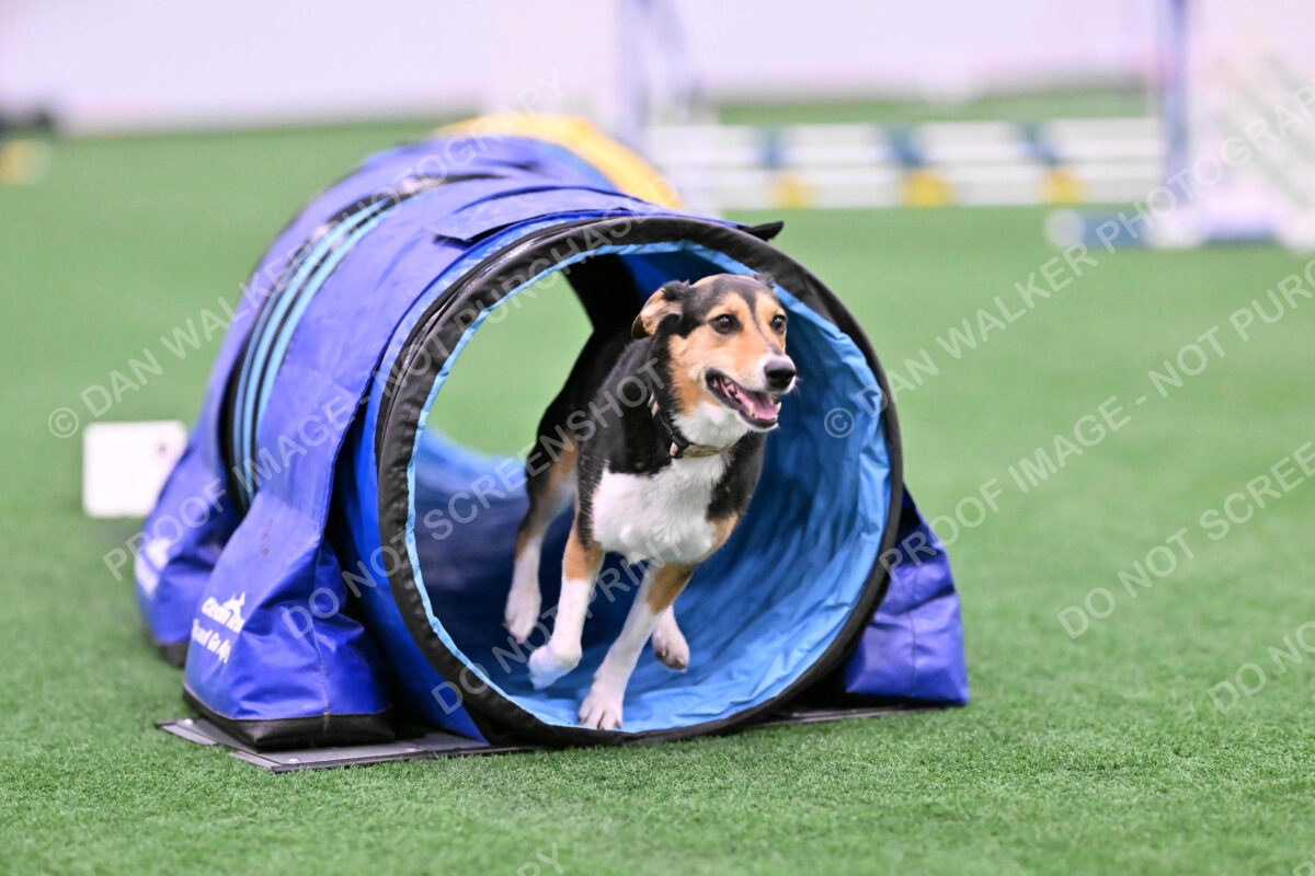 Rye-Elizabeth-Devore-10449