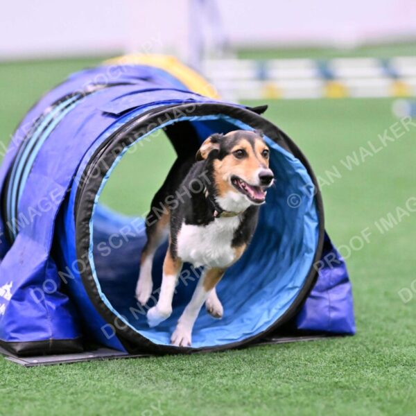 Rye-Elizabeth-Devore-10449