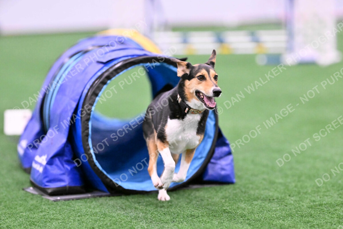 Rye-Elizabeth-Devore-10450