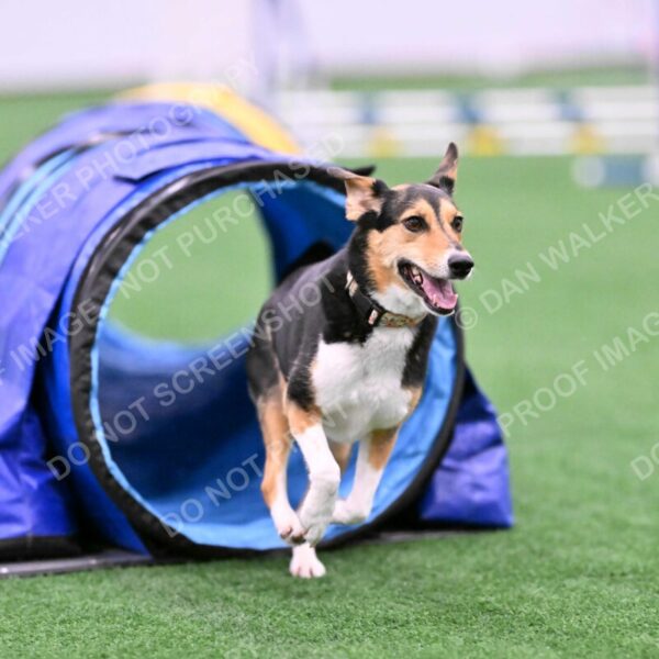 Rye-Elizabeth-Devore-10450